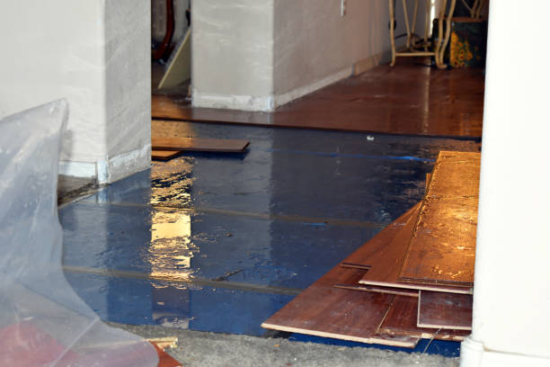 Professional Water Damage Restoration technician working in Romeo, MI